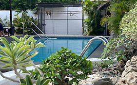 Parrot Resort Moalboal